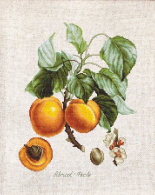 Персики BL22450 Luca-S