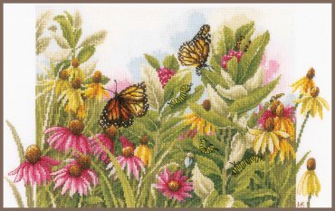 BUTTERFLIES & CONEFLOWERS PN-0179972 LanArte