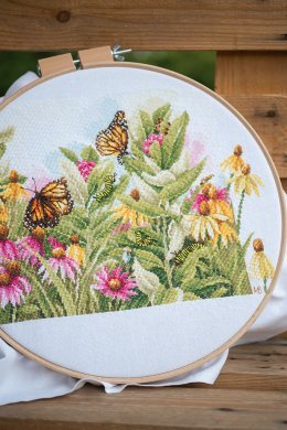 BUTTERFLIES & CONEFLOWERS PN-0179972 LanArte набор