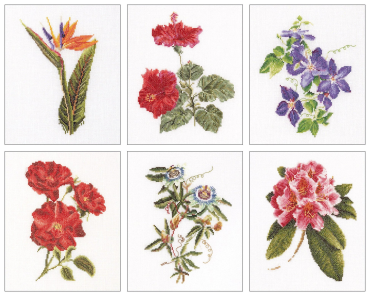 Six Floral Studies / Шість досліджень квітів T3081A Thea Gouverneur - Салон рукоділля